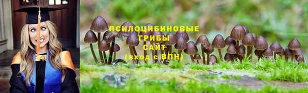 соль ск Аркадак