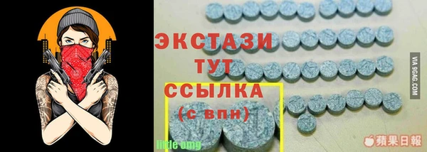 гашик Алексин
