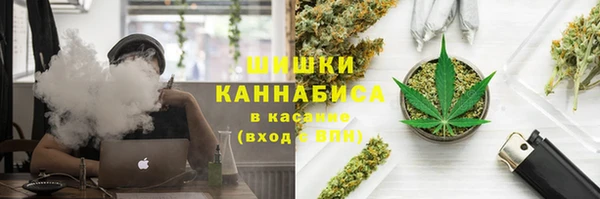 тгк Арсеньев
