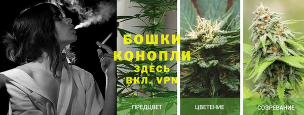 ПСИЛОЦИБИНОВЫЕ ГРИБЫ Абдулино