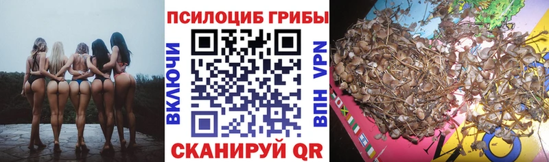 Галлюциногенные грибы прущие грибы Чебоксары