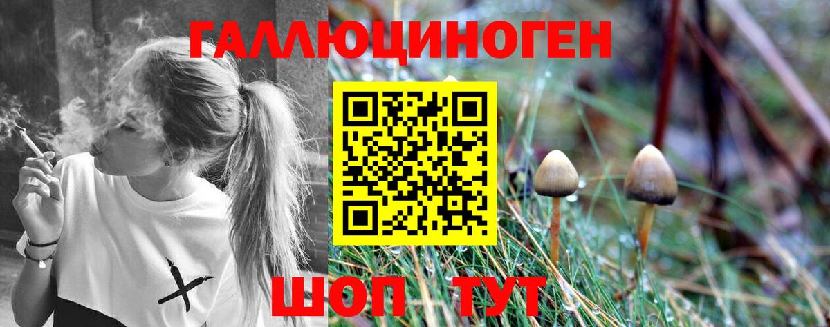 Псилоцибиновые грибы прущие грибы  Галлюциногенные грибы MAGIC MUSHROOMS  Вход с VPN  Чебоксары 